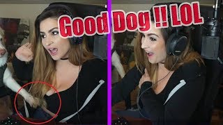 TTHump makes a kid cry, lol |  Ninja Banned For Cheating !! | Fandy's bad dog