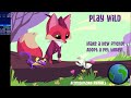 End of video