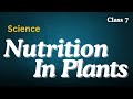 cbse class 7 science chapter 1