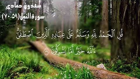 ايات من سورة النمل بصوت الشيخ سعدون حمادي