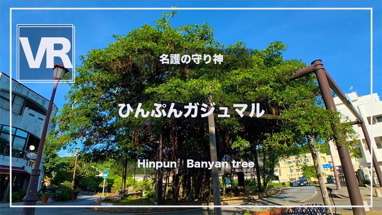 5 7k Vr 高画質 360 Japan Travel ひんぷんガジュマル 沖縄県名護市 Okinawa Vrゴーグル推奨 Youtube 5 7k Vr 高画質 360 Japan Travel ひんぷんガジュマル 沖縄県名護市 Okinawa Vrゴーグル推奨 Youtube