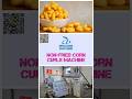 🌽 Non fried Corn Curls Machine ---✨ Revolutionize Your Snack Production! ✨ #CornCurlsExtruder