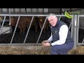 Finition des bovins continentaux dans les 80 jours  michael cleary responsable de la nutrition bovine
