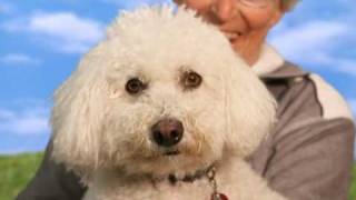 Stop Outrageous Vet Bills!