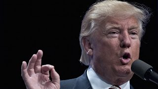 If Trump Were a Public Company CEO, He'd Probably Be Fired If Trump Were a Public Company CEO, He'd Probably Be Fired