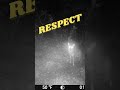 Pioggia, nebbia e lupi un mix perfetto.