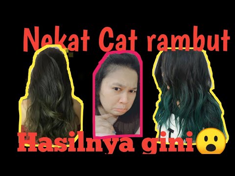  cara  cat  Rambut  paling simple dirumahaja YouTube