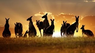 Tourism Destination: Australia