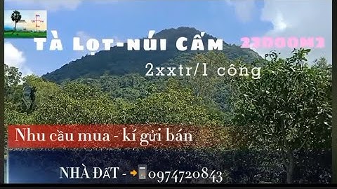 Đã b.án | 22 công CLN Tà Lọt, núi Cấm, TB, AG | 240tr/ công | Nhà đất Tịnh Biên - An Giang