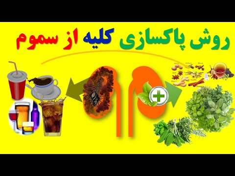 تصویری: اختلالات کلیه و مجاری ادراری در پرندگان