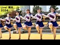 【横浜チアダンス☆3/3】女子大生のチアって何てCuteなんでしょうか♡ /明治学院大学チアダンスサークル Twinklesさん /Live! 横浜2024 /チアガール/Japanese Cheer