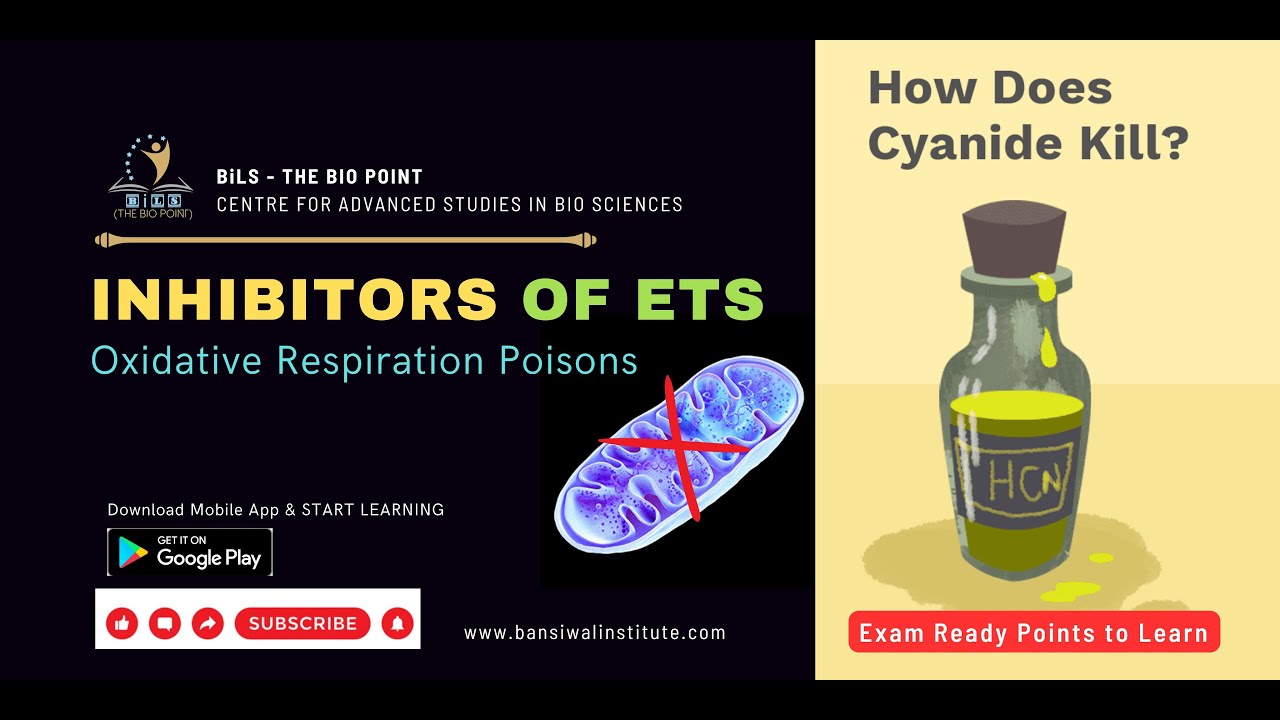 Inhibitors of ETS - YouTube
