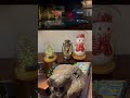 Dinner at Niathu Resort #christmas #christmasdecor #homedecor #niathuresort