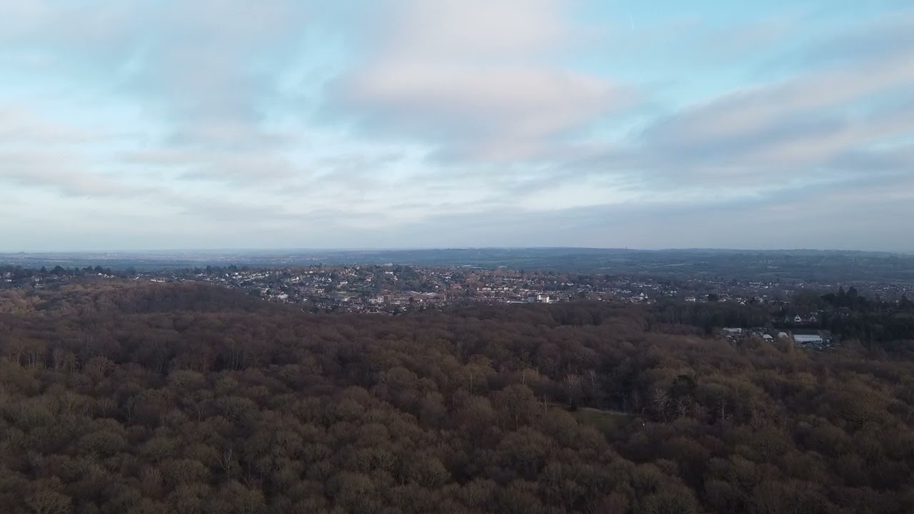 Epping Forest Drone Fun