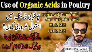 Why Organic Acids are Good in Poultry | How to Reduce Antibiotics in Poultry  | Role of Butyric Acid screenshot 1