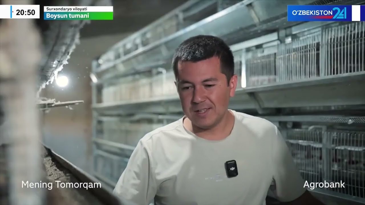 Bedana biznesi I Mening tomorqam (22.10.2025)