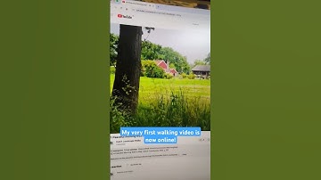 My first video is online! #asmr #mindfulwalking #relaxing #achterhoek #netherlands #walkthrough