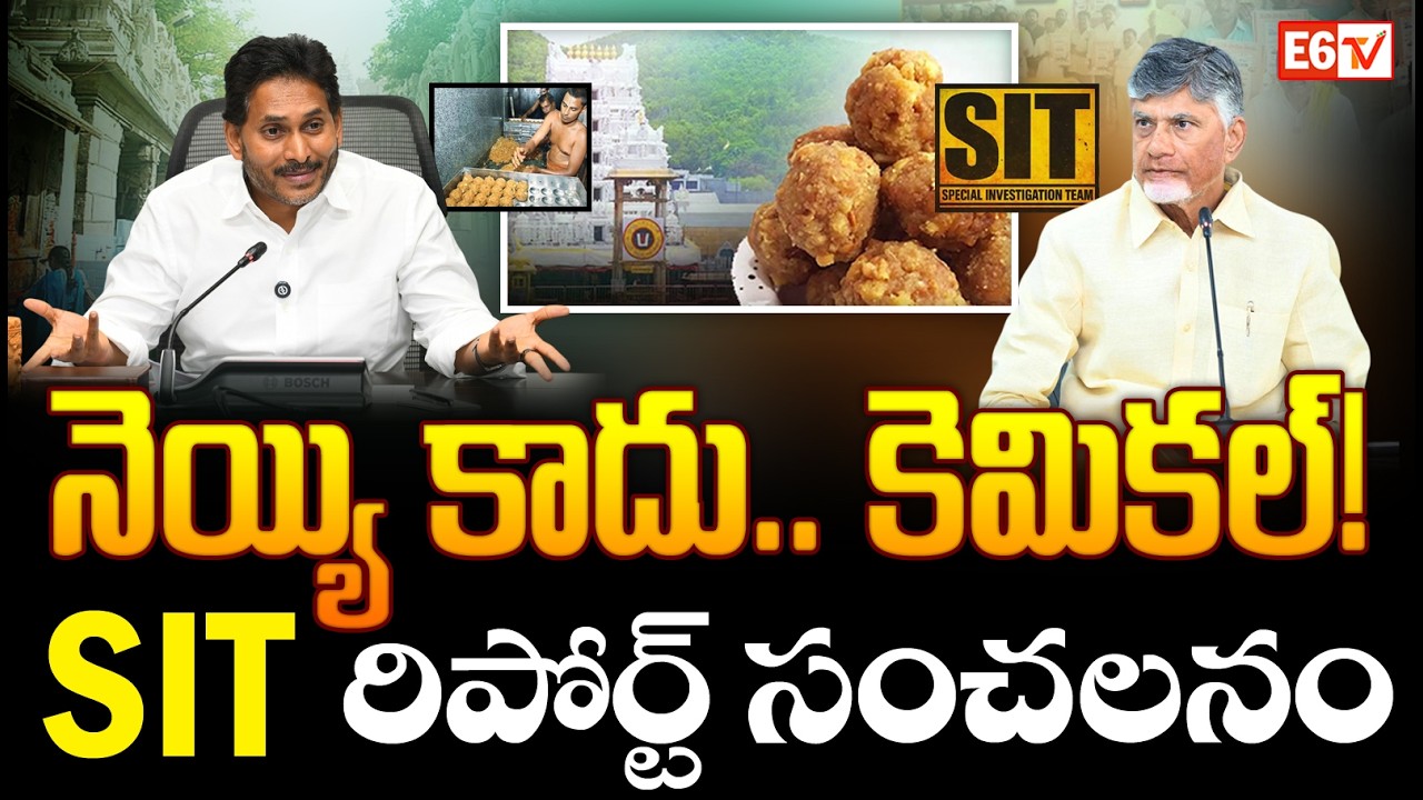 తిరుమల లడ్డూలో ‘సింథటిక్’ షాక్ |  SIT Report Shocks on Ghee Adulteration Allegations | E6 TV