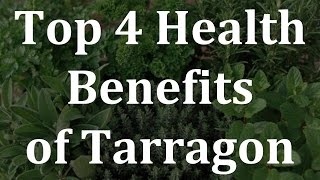 Top 4 Health Benefits of Tarragon