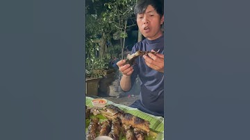cá lóc cá trê nướng than hoa thơm ngon #nest #animals