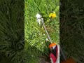 Best Portable Weed Remover Tool For Backyard Gardening