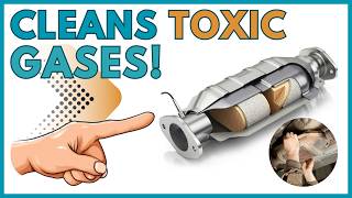 How Catalytic Converter Functions and Works? - Detailed Guide