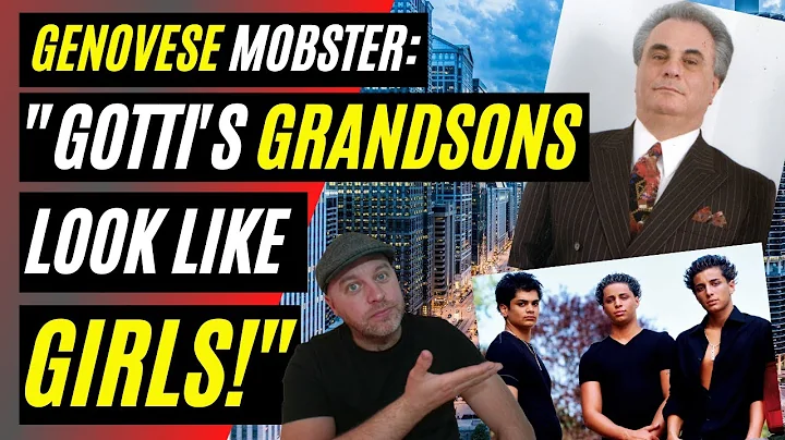 JOHN GOTTI'S GRANDSONS INSULTED BY GENOVESE CAPTAI...