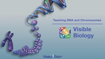 Visible Biology | Visualize Abstract Concepts