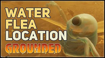 GROUNDED WATER FLEA AND ALL INFO | GROUNDED UPDATE 0.2.0 Full Information | YK GAMING
