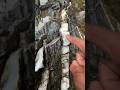 Why Geologists Ignore 99% of Quartz…