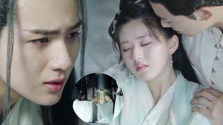 Cinderella's life is at stake, and CEO is in tears, saving her life at all costs