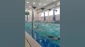 Ирина Клейн