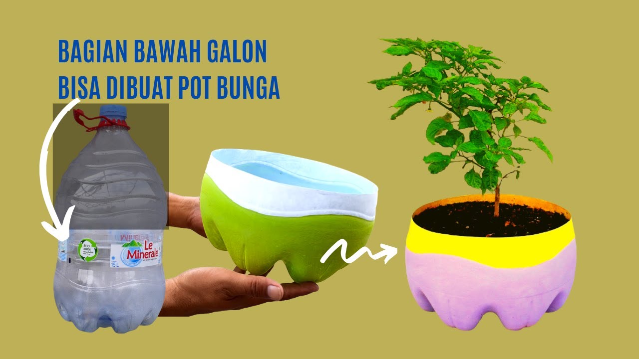 Cara Membuat Pot Dari Galon Bekas Le Minerale Youtube Vrogue co cara-membuat-pot-dari-galon-bekas-le-minerale-youtube-vrogue-co