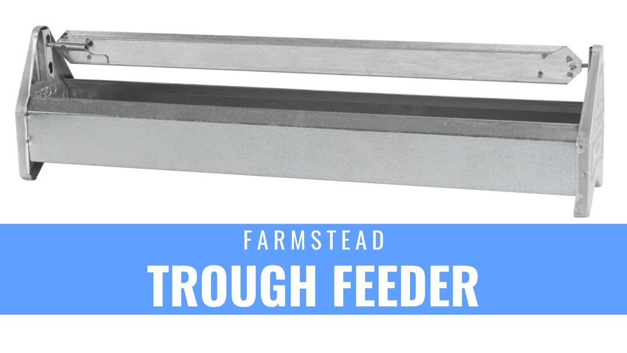 Chicken Trough Metal Feeder