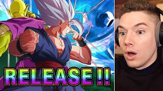 I can't explain these NEW Dokkan Summons!! (DBS Super Hero Gohan, Piccolo, & Gammas)