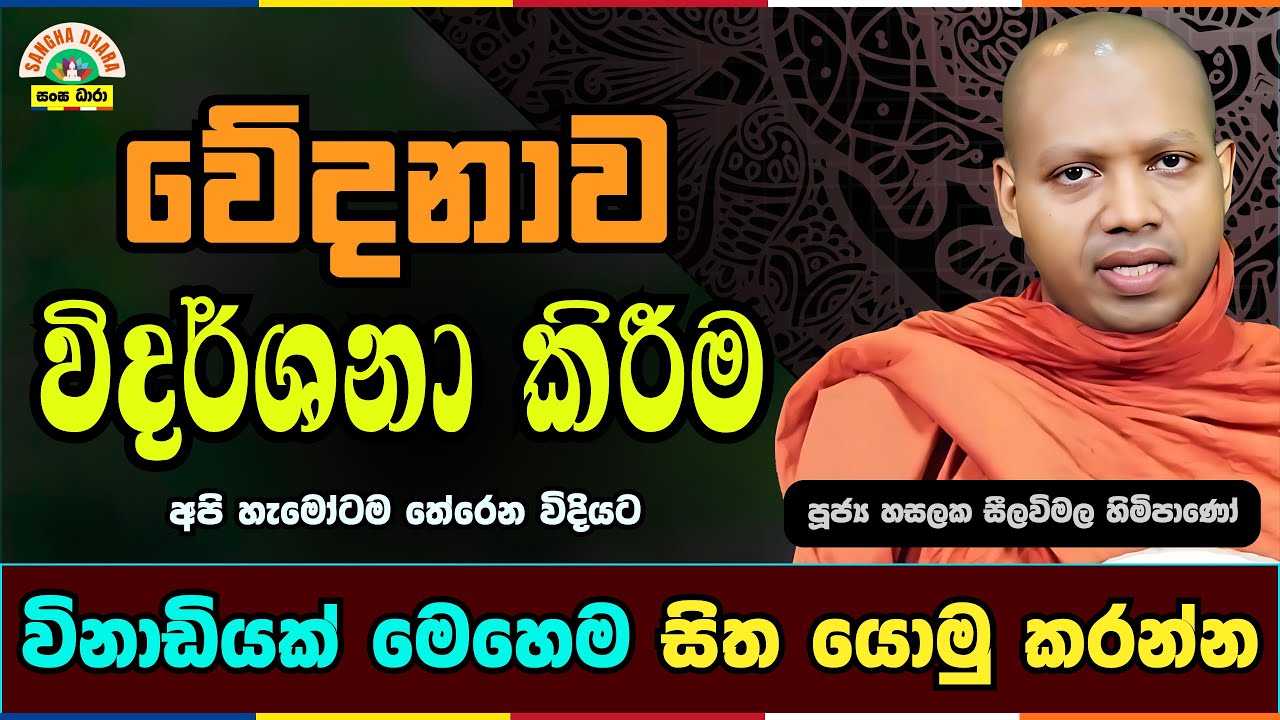 විඳින කෙනෙක් නැති වේදනාව | Hasalaka seelavimala thero | හසලක සීලවිමල හිමි | 