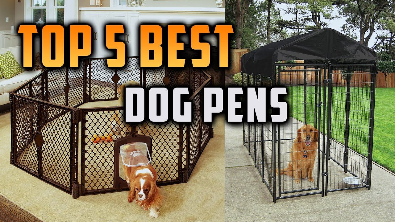 Top 5 Best Dog Pens