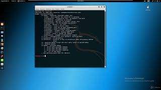 10 10 SqlNinja