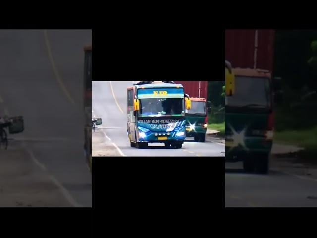 Detik Bus PMTOH Ngeblong di Turunan dan Hampir Nyerempet Sepeda orang #shorts #shortvideo #short class=