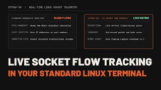 iptraf ng explained real time linux network socket monitoring