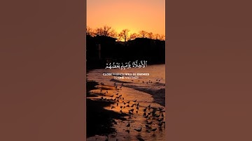 تلاوة هادئة تريح القلب وتشرح الصدر - #تلاوة_خاشعة 💚
