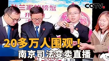法官帮债务人直播卖螃蟹？南京这场特殊的司法帮扶“火”了 | CCTV「新闻1+1」20251103
