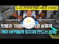 180. 친환경 개미, 바퀴벌레 살충제를 만드는 쉽고 간단한 방법입니다