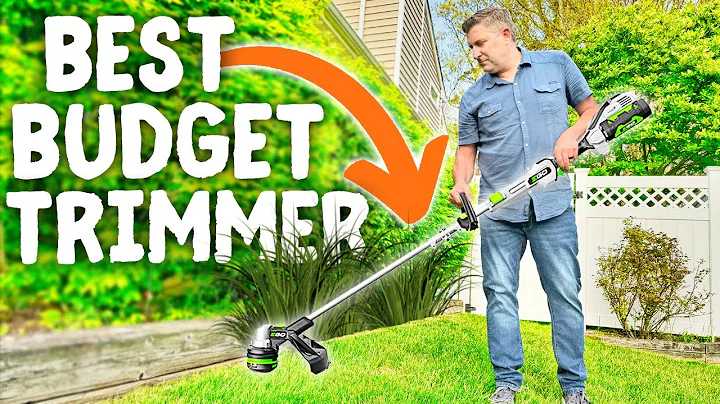 Bang 4 Your Buck 💰💰💰 | EGO Powerload String Trimmer Review