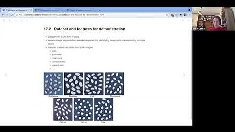 Tidy Modeling with R Book Club Ch17: Dimensionality reduction (2021-09-20) (tmwr03)
