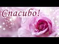 Большое спасибо Музыкальная открытка 
