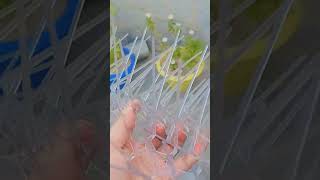 DM for Wholesale or retail order  /available on Amazon or meesho #SPYKOF