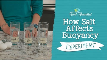 How Salt Affects Buoyancy Experiment | Marine Biology | The Good and the Beautiful
