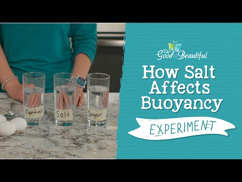 How Salt Affects Buoyancy Experiment | Marine Biology | The Good and the Beautiful