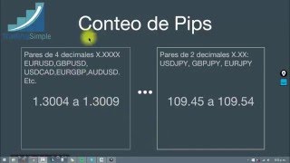 Como contar pips y cuanto comprar en Forex